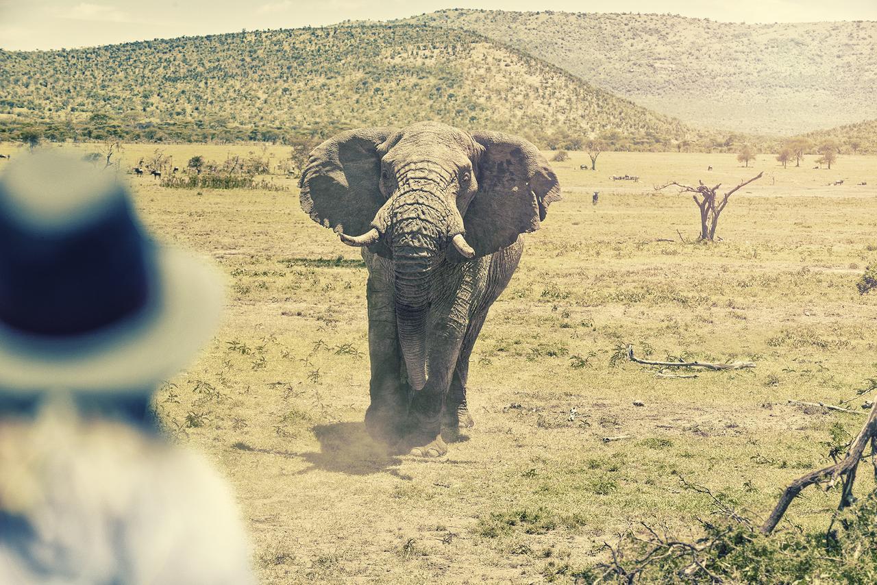 Olarro Plains Villa Maasai Mara Eksteriør bilde