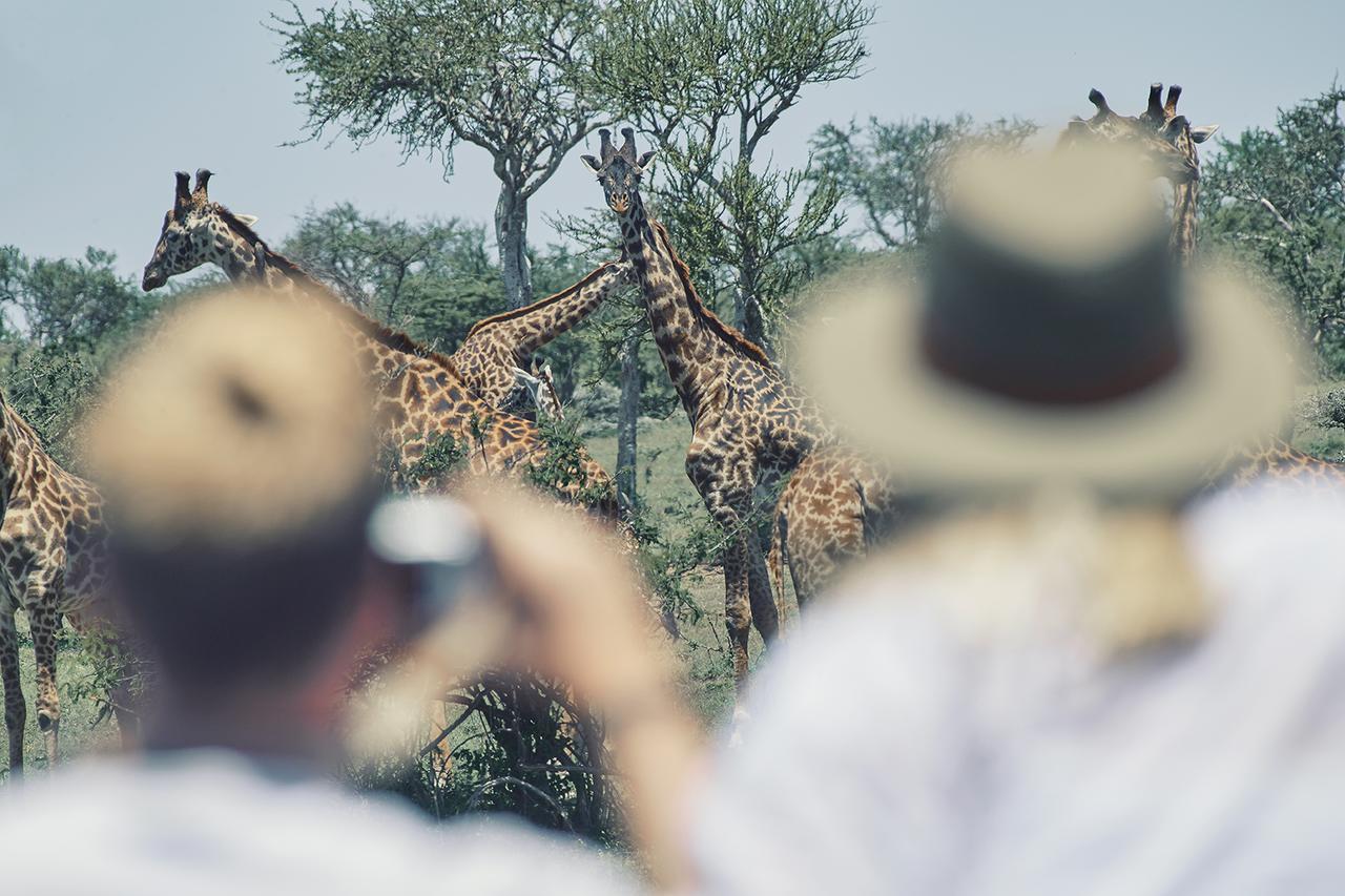 Olarro Plains Villa Maasai Mara Eksteriør bilde